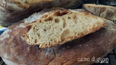 Pane integrale senza impasto cotto in pentola